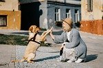 girl, dog, pet, friendship, companion, owner, caucasian, blonde, caucasian female, blonde female, canine, domestic dog, doggy, happy, animal, love, nature, woman, cute, puppy